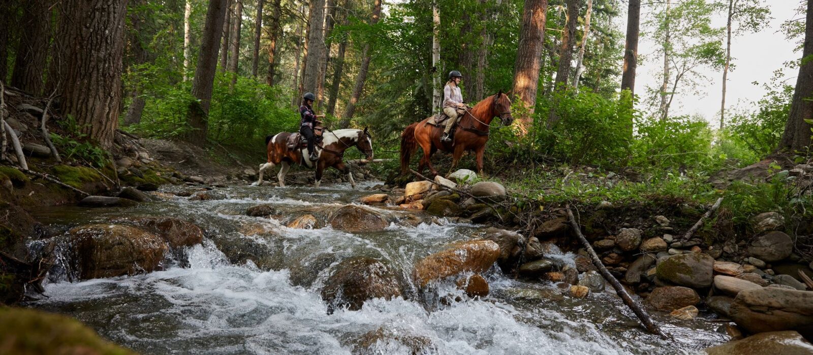 riding horse through creek