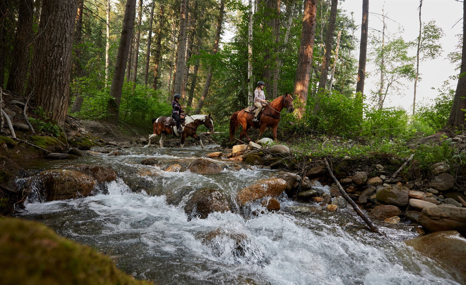 Horseback Riding – Tourism Valemount